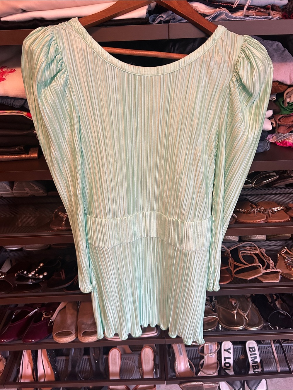 LoveShackFancy Mint Green Pleated Long-Sleeve Tunic